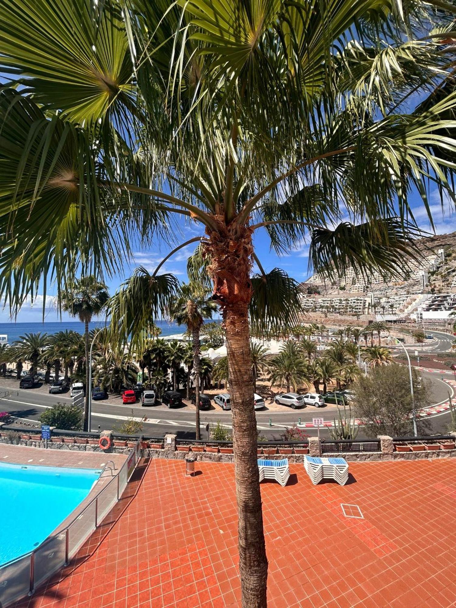 Bluejay Apartamento Playa Del Cura Playa Del Cura  Exterior photo